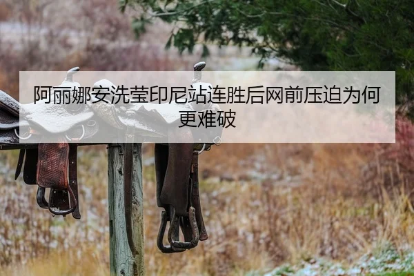 阿丽娜安洗莹印尼站连胜后网前压迫为何更难破