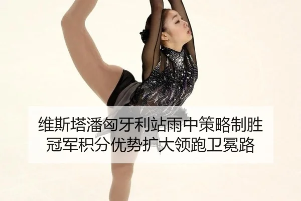 维斯塔潘匈牙利站雨中策略制胜 冠军积分优势扩大领跑卫冕路
